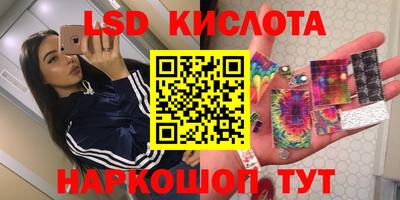 apvp Кингисепп