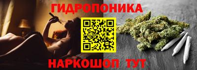 стаф Кимры