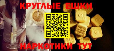 apvp Кингисепп