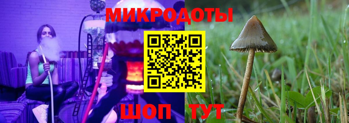 Галлюциногенные грибы Psilocybine cubensis  Вход с VPN  Кувандык 