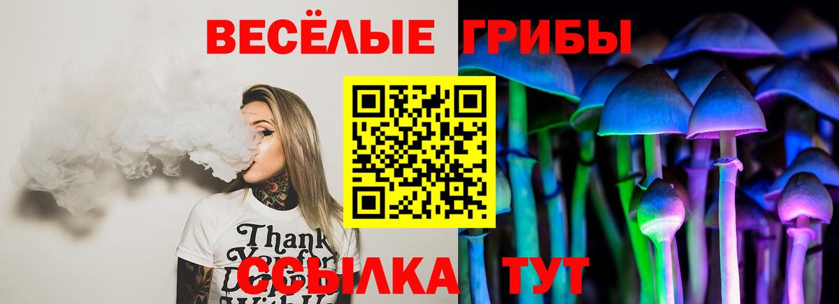 Псилоцибиновые грибы мухоморы Кувандык